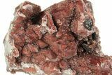 Natural, Red Quartz Crystal Cluster - Morocco #256093-1